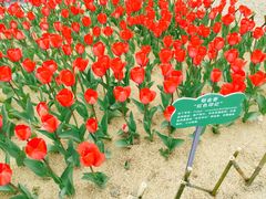 -公益图书馆(江南大学店)