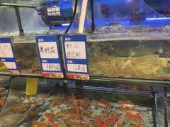 -友强·23年特色海鲜大排档(厦门店)