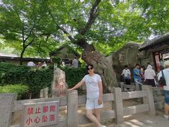 -青岛崂山太清宫
