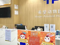 -希望动物医院(汉阳院)