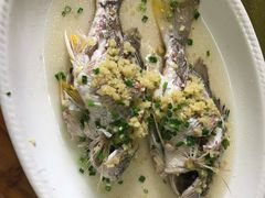 姜葱蒸黄脚立-菠菜美食