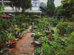 -谷咖啡·鲜花绿植花园餐厅