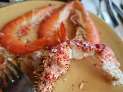 -悉尼塔旋转餐厅