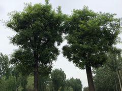 -汉长安城未央宫国家考古遗址公园