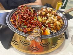 -锦尚阁烤鱼(望京新荟城店)