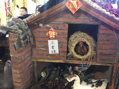 -山里屯铁锅炖(哈尔滨中央大街店)