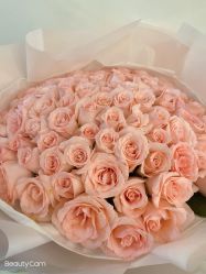 -美肤盾祛痘·问题肌头疗管理中心