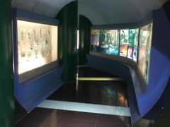 -上海昆虫博物馆