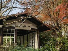 -中国茶叶博物馆(双峰馆区)