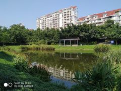 -光明港公园