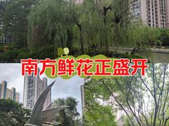 -苏州河梦清园环保主题公园