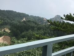 -六里坪国家森林公园