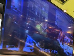 -丰茂烤串(卫星广场店)