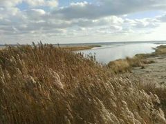 -野鸭湖国家湿地公园