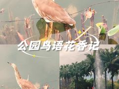 -四海公园(南山区)