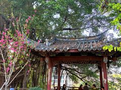 -乌山风景区