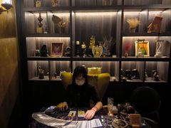 -雪灵魔法世界SHELLY’S TAROT(大良桂畔里店)