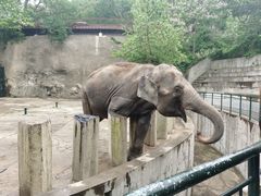 -大连森林动物园