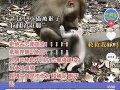 -昆明动物园