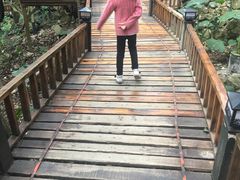 -天门沟九州驿站树上汤泉