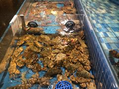 -蓝钻·国际美食海鲜自助百汇(西直门店)