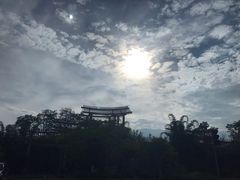 -桤木河湿地公园