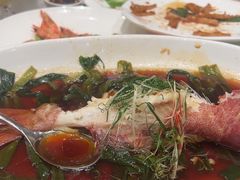 -新南华大酒店(长寿店)