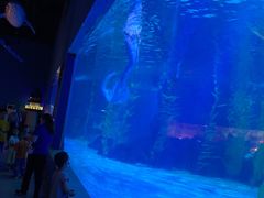 -常州海昌海洋探索馆