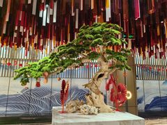 -青水瓦台汤泉(未央店)