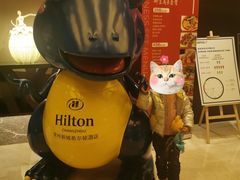 -常州武进九洲喜来登酒店