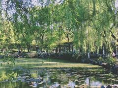 -范蠡湖公园