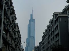-紫峰大厦
