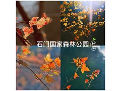景点-广州市石门国家森林公园