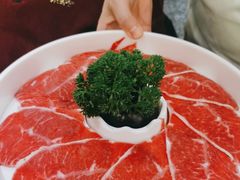 -洪氏嗨捞·猪肚鸡火锅(阳光天地店)