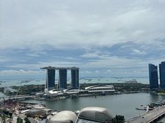 -新加坡瑞士史丹福酒店