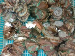-港畔赶海蒸汽海鲜烧烤自助(仙螺岛店)