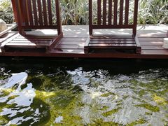 -凤翔首邑温泉度假村