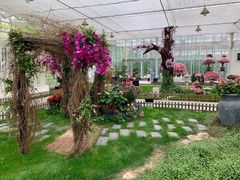 -上海鲜花港
