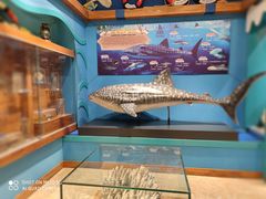 -多彩贵州城极地海洋世界