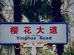 -武汉大学-樱园