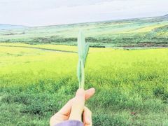 -吴裕泰茶庄(鼓楼店)