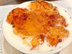 桃胶双皮奶-仁信老铺(华盖路店)