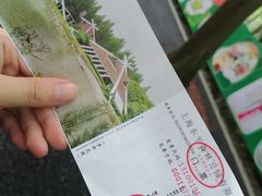 -东平国家森林公园
