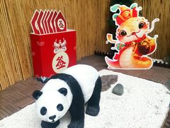-楼观道温泉酒店