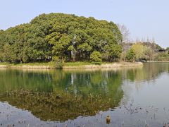 -尚湖风景区
