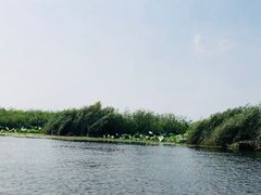 -白洋淀景区