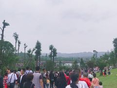 -枫香湖儿童公园