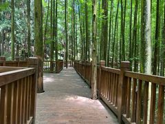 -山王坪喀斯特国家生态公园
