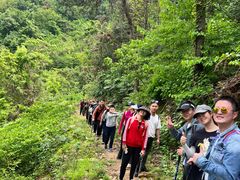 -素山寺森林公园