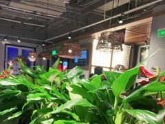 -管氏翅吧(台湾街店)
